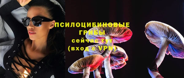 гидропоника Бугульма