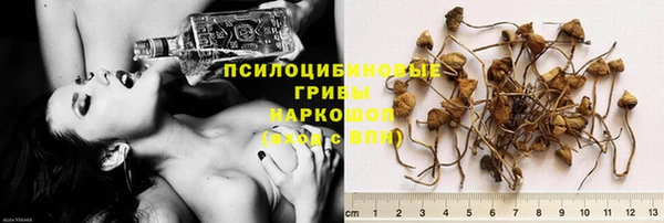 гидропоника Бугульма