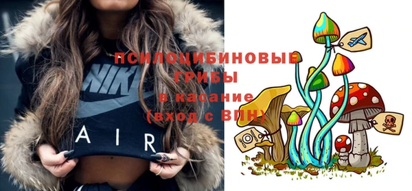 гидропоника Бугульма