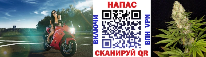 гидра как зайти  наркотики  Подольск  Бошки марихуана план 
